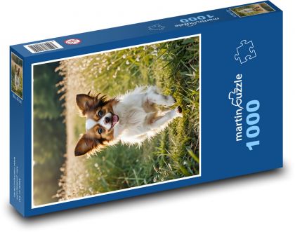 Papillon - kleines Haustier - Puzzle - 1000 Teile