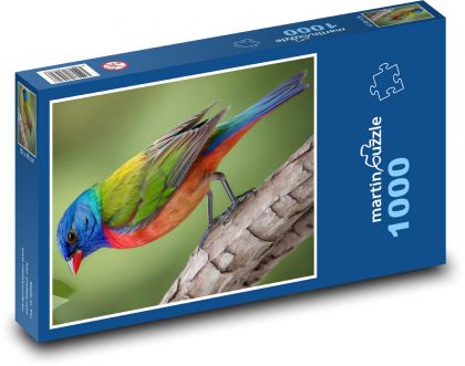 Farebný vták - Puzzle 1000 dielikov, rozmer 60x46 cm