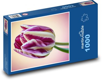 Tulip - Flower, Flower - Puzzle 1000 pieces, size 60x46 cm 