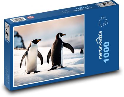 Tučniaky v Antarktíde - Puzzle 1000 dielikov, rozmer 60x46 cm