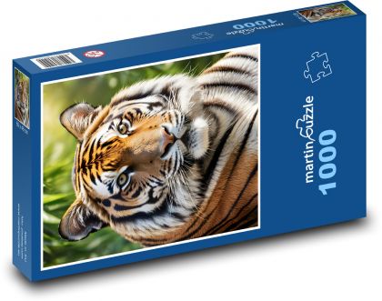 Tiger - feline - Puzzle 1000 pieces, size 60x46 cm 