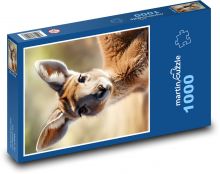 Klokan - vačnatec z Austrálie Puzzle 1000 dílků - 60 x 46 cm