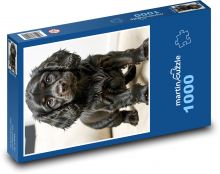 Černé roztomilé štěně Puzzle 1000 dílků - 60 x 46 cm