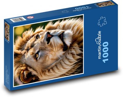 Lion - king of animals - Puzzle 1000 pieces, size 60x46 cm 