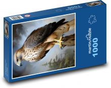 Sokol - pták, dravec Puzzle 1000 dílků - 60 x 46 cm
