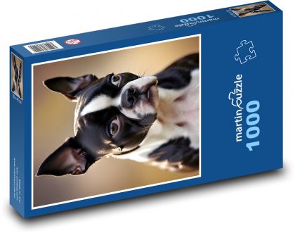 Boston Terrier - Puzzle 1000 elementów, rozmiar 60x46 cm