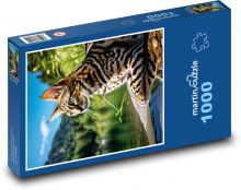 Kočka u jezera Puzzle 1000 - 60x46 cm