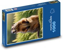 Murmeltier - Nagetier Puzzle 1000 Teile - 60 x 46 cm