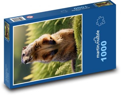 Świstak - gryzoń - Puzzle 1000 elementów, rozmiar 60x46 cm