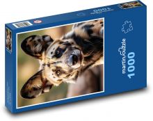 Hyäne - das Biest Puzzle 1000 Teile - 60 x 46 cm