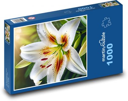 Rozkvetlá bílá lilie - Puzzle 1000 dílků, rozměr 60x46 cm