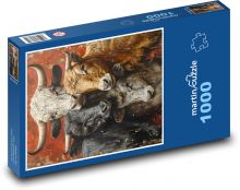 Stado krów w gospodarstwie Puzzle 1000 elementów - 60x46 cm