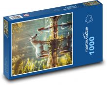 Dievča s bielym koňom pri jazere Puzzle 1000 dielikov - 60 x 46 cm 