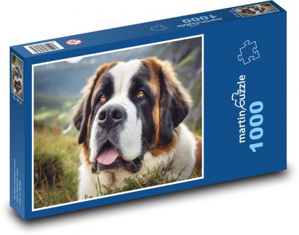Hund - Bernhardiner, Haustier - Puzzle - 1000 Teile