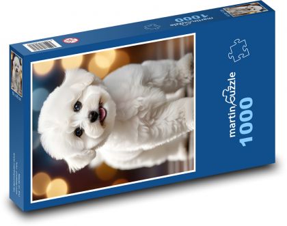 Pes - bichon, mazlíček - Puzzle 1000 dílků, rozměr 60x46 cm