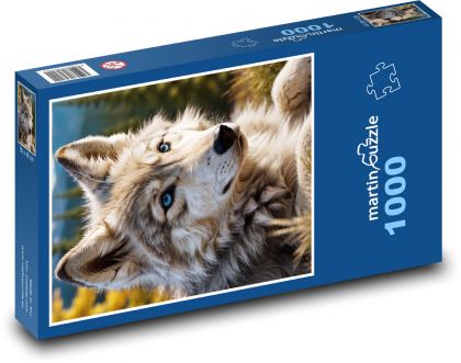 Wolf with blue eyes - Puzzle 1000 pieces, size 60x46 cm 