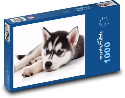 Pes - šteňa, domáce zviera - Puzzle 1000 dielikov, rozmer 60x46 cm
