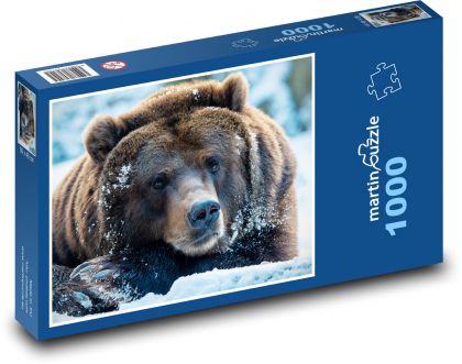 Braunbär - Tier, Säugetier - Puzzle - 1000 Teile
