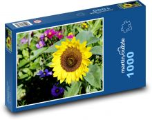 Słonecznik żółty - kwiat na polu, kwiat Puzzle 1000 elementów - 60x46 cm