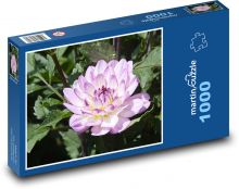 Purple dahlias - autumn flower, garden Puzzle 1000 pieces - 60 x 46 cm 