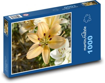 Yellow lily - summer flower, flower in the garden - Puzzle 1000 pieces, size 60x46 cm 