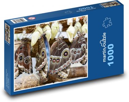Schmetterlinge - Insekten, Garten - Puzzle - 1000 Teile