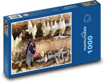Motýľ - hmyz, kapucne - Puzzle 1000 dielikov, rozmer 60x46 cm