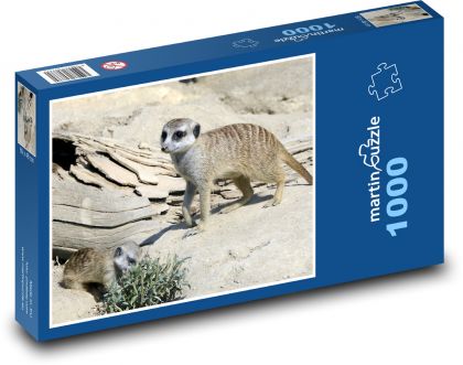 Erdmännchen - Kleintier, Säugetier in der Natur - Puzzle - 1000 Teile