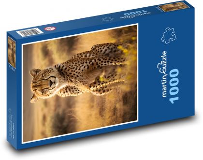 Gepard na savane - Puzzle 1000 dielikov, rozmer 60x46 cm