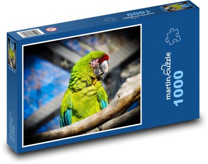 Pták papoušek na větvi - puzzle 1000 dílků