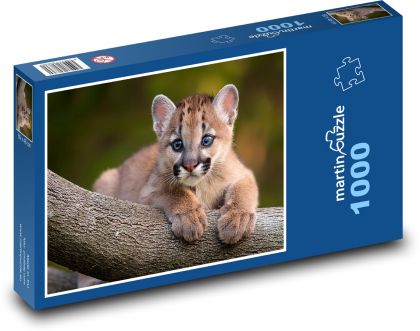 Puma Cub - Puzzle 1000 elementów, rozmiar 60x46 cm