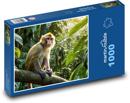 Detská opička na strome - Puzzle 1000 dielikov, rozmer 60x46 cm