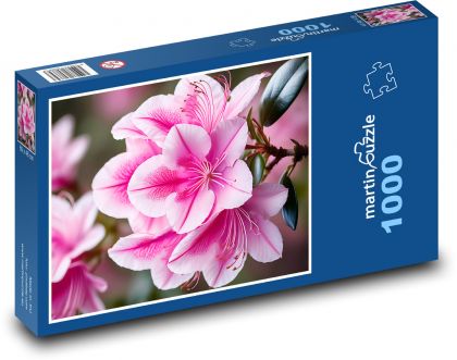 Pink azalea flowers - Puzzle 1000 pieces, size 60x46 cm 