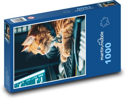 Kočka pracuje na počítači - puzzle 1000 dílků