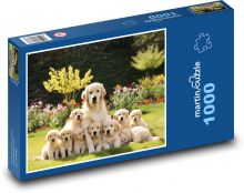 Máma retriever se smečkou štěňat Puzzle 1000 dílků - 60 x 46 cm