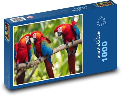 Papoušci ara na stromě - Puzzle 1000 dílků, rozměr 60x46 cm