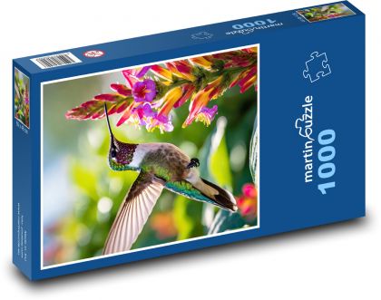 Kolibřík na květině - puzzle 1000 dílků