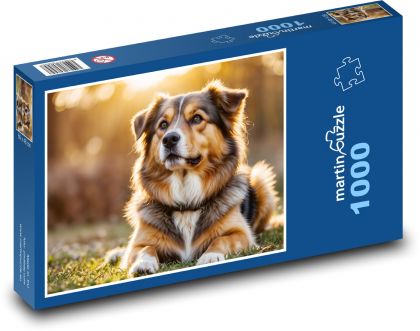 Pies o zachodzie słońca - Puzzle 1000 elementów, rozmiar 60x46 cm