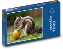 Veverka  s jídlem Puzzle 1000 dílků - 60 x 46 cm