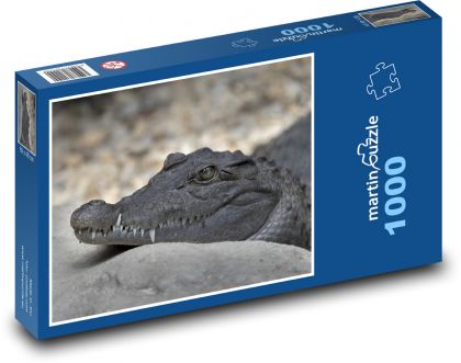 Odpočívajúci aligátor - Puzzle 1000 dielikov, rozmer 60x46 cm