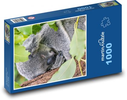 Koala bear sleeping in a tree - Puzzle 1000 pieces, size 60x46 cm 