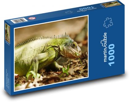 Zelený leguán - puzzle 1000 dílků