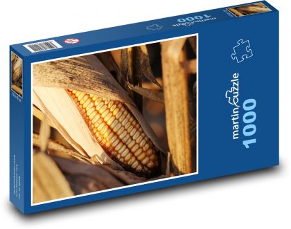 Dojrzała kolba kukurydzy - Puzzle 1000 elementów, rozmiar 60x46 cm