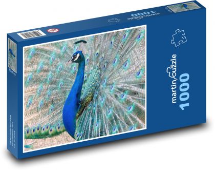 Páv - vták - Puzzle 1000 dielikov, rozmer 60x46 cm