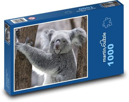 Koala Bear - Puzzle 1000 pieces, size 60x46 cm 