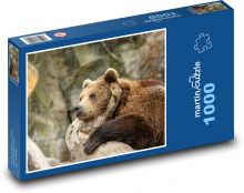 Medveď grizly Puzzle 1000 dielikov - 60 x 46 cm