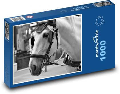 Hlava bílého koně - puzzle 1000 dílků