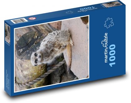 Surikata v zoo - puzzle 1000 dílků