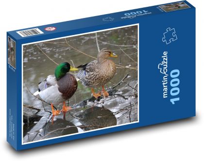 Enten auf einem gefrorenen Fluss - Puzzle - 1000 Teile
