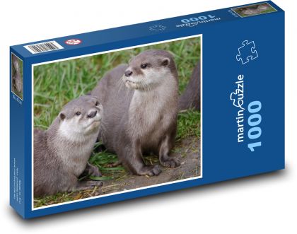 Vydry - puzzle 1000 dílků